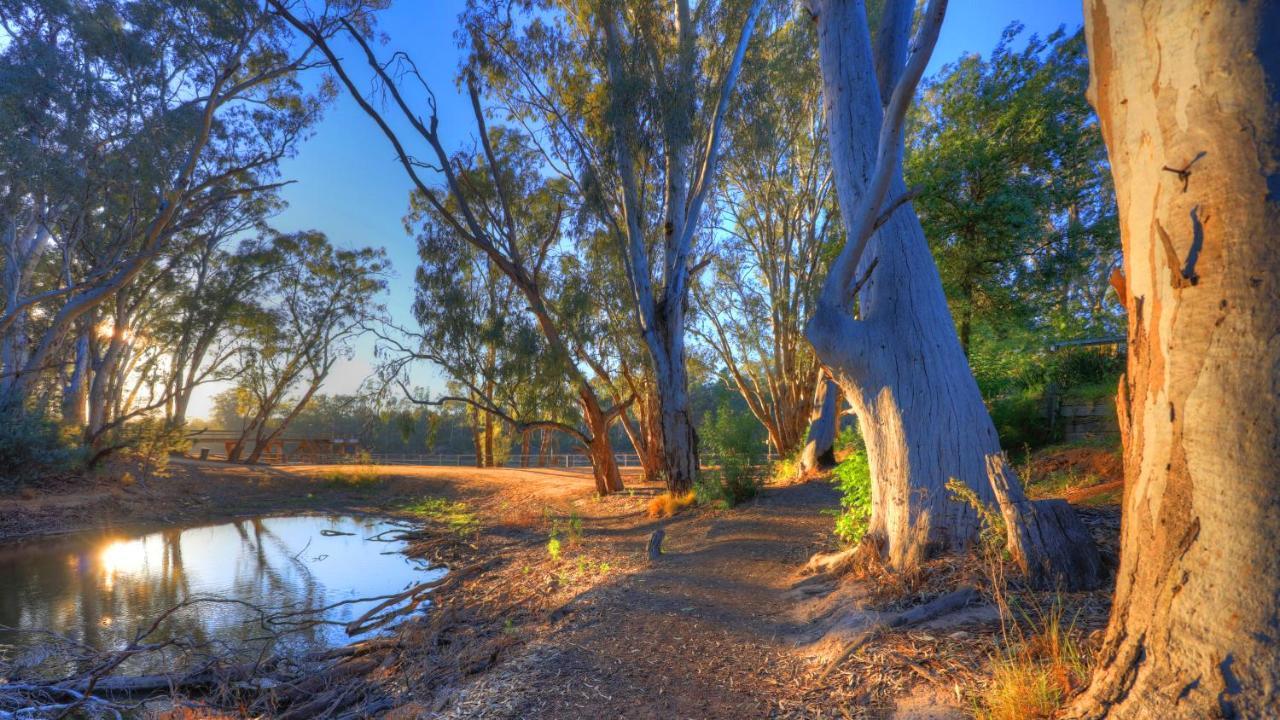 Moama Riverside Holiday Park Dış mekan fotoğraf